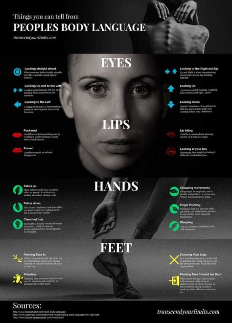 Body Language Infographic Educational Infographic Body Language