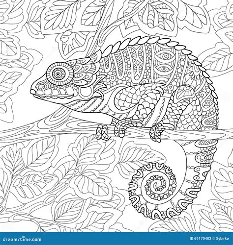 Zentangle Stylized Chameleon Stock Vector Illustration Of Drawing