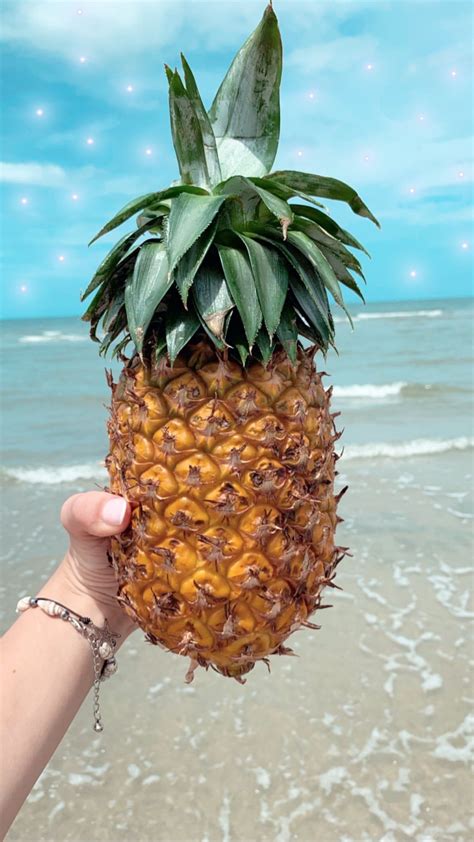 Instagram Story Pineapple Instagram Story Pineapple Instagram