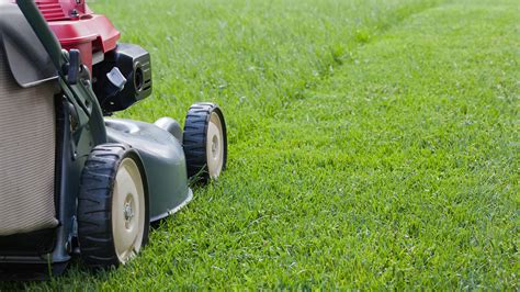 When To Start Mowing Your Lawn In Spring Experts Advise