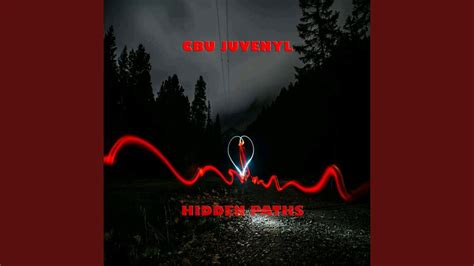 Hidden Paths Youtube