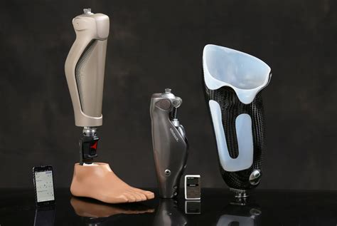 Which Of These Is An Example Of Prosthesis Annabel Has Daugherty