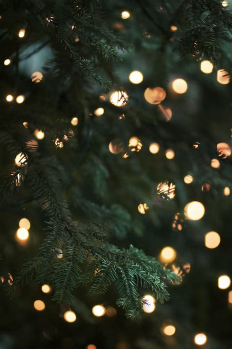 Christmas Tree Pictures Hq Download Free Images On Unsplash