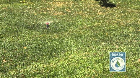 Uses local weather data in sponsored areas to provide free weekly watering advice. How Much Water Does Your Lawn Really Need? - YouTube