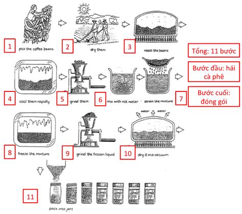 Ielts Writing Task 1 Process Coffee Production Ielts Nguyễn Huyền