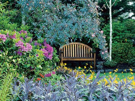 Best Plants For A Cottage Garden Border