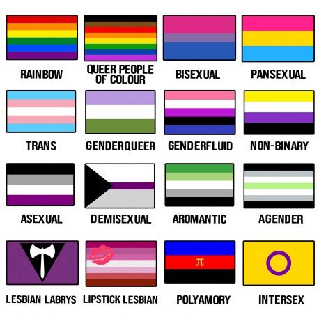 Pride Flags Lgbtq Flags And Meanings Waving The Flag S Symbols