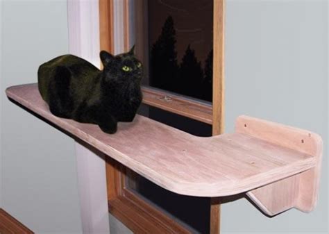 The ramps also act as a perch and an incentive. Six Cat Windowsill Perches Your Kitty Will Love