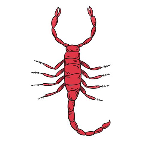 Illustration Scorpion Transparent Png And Svg Vector File
