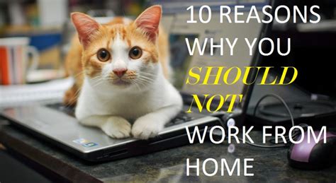 10 Reasons Why You Should Not Work From Home Coworkify Blog