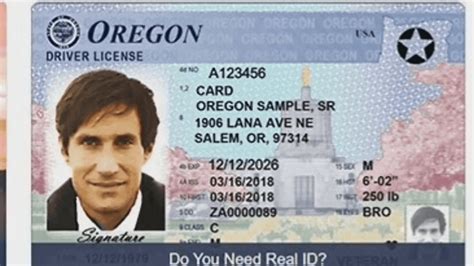 Oregon Drivers License Lookup Treefest