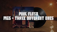 Pink Floyd - Pigs (Three Different Ones) [Remastered] - YouTube