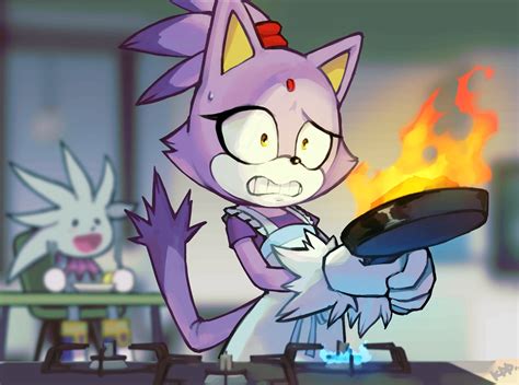 Blaze Cooking Blaze The Cat Wallpaper 44367991 Fanpop