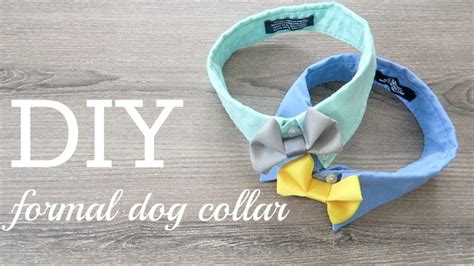 11 Diy Dog Collars For Your Favorite Pooch Diy Dog Collar Formal Dog