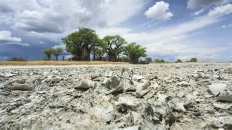 Lake Makgadikgadi Human Being Originally Come From Botswana Bbc News Pidgin