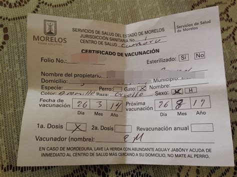 Pasaporte de vacunación del coronavirus: ALERTAN SOBRE FALSOS TRABAJADORES DE SALUD QUE PONEN VACUNA ANTIRRÁBICA - Zona Centro Noticias