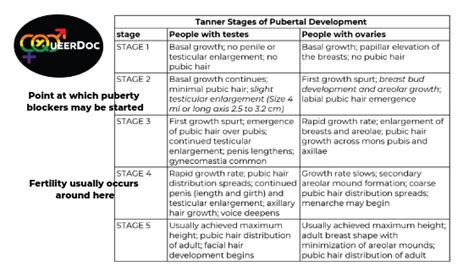 Tanner Stages Charts Ages Medical