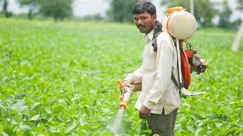 Use Of Pesticides In Agriculture