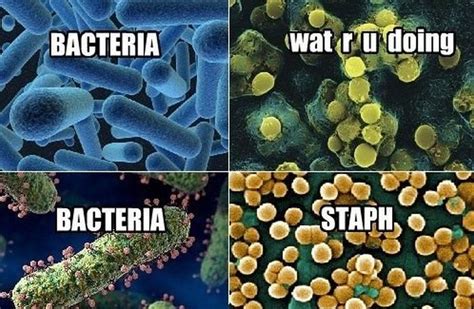 The Best Science Memes The Internet Has To Offer 40 Pics