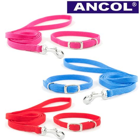 Ancol Small Bite Puppy Small Dog Collar And Lead Sets Ijk Pet Supplies