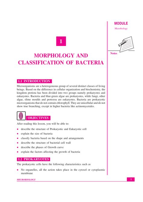 Pdf Morphology And Classification Of Bacteria