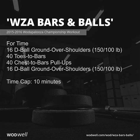 Wza Bars And Balls Workout 2015 2016 Wodapalooza Championship Workout