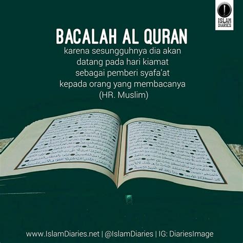 Kebaikan Membaca Al Quran Bacaanmadani Am Al Quran Ayat Dan Hot Sex