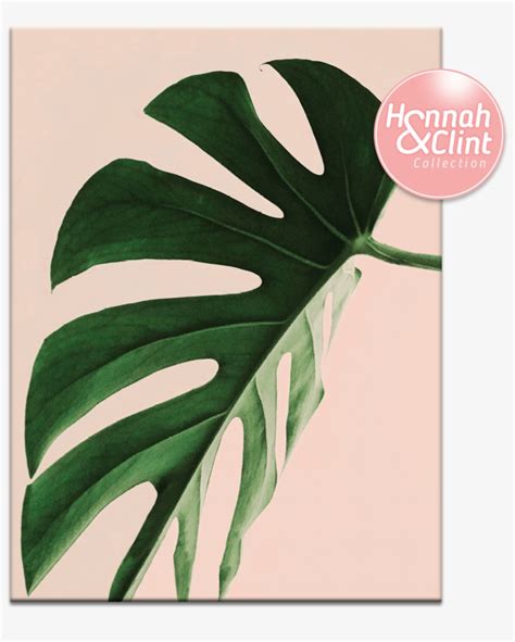 Top 115 Aesthetic Plant Wallpaper