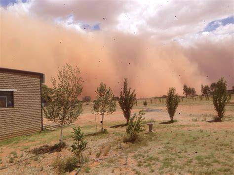Bloemfontein Bites The Dust 7 Pictures Of The Sandstorm The Mail