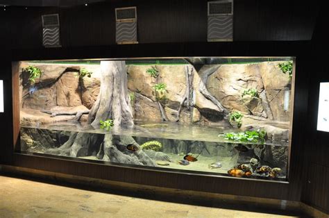 Click For A Larger View Reptile Terrarium Reptile Enclosure Reptile