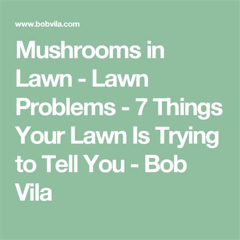 Mushrooms In Lawn Lawn Problems 7 Things Your Lawn Is Trying To