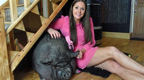 Woman Lives With Two Pampered Pigs Youtube