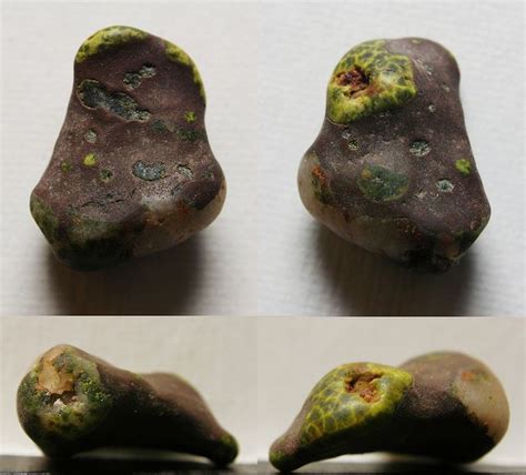 Michigan Greenstone Pumpellyite Chlorastrolite Rock And Pebbles