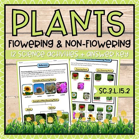 Flowering And Non Flowering Plants Life Science Activities Answer