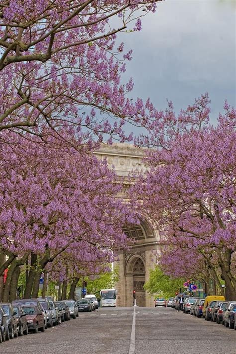 Timeline Photos The Good Life France Paris In Spring Spring