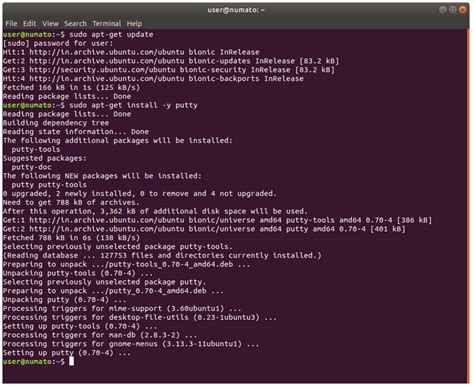 Cum Se Instalează Putty Pe Ubuntu Linux Numato Lab Help Center Tech
