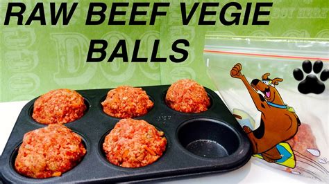 The health benefits to your dog, however, can be amazing. How to make RAW BEEF & VEGETABLE MEATBALLS FOR DOGS - DIY ...