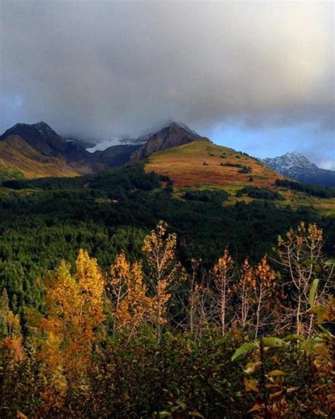 Photos Alaska The Last Frontier Homestead Location How Far Do The