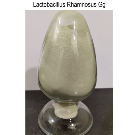 Lactobacillus Rhamnosus Gg At Rs 700kg Acidophilus Probiotic Powder