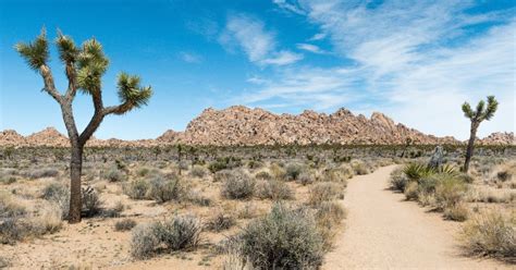 Parco Nazionale Di Joshua Tree Tour Audio A Guida Autonoma Getyourguide