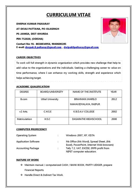 Professional Resume Format India Resume Ideas