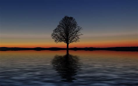 Download Wallpaper 3840x2400 Tree Lonely Horizon Reflection Sunset