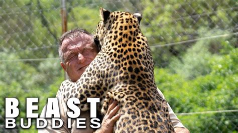 The Man Who Lives With Leopards Beast Buddies Youtube