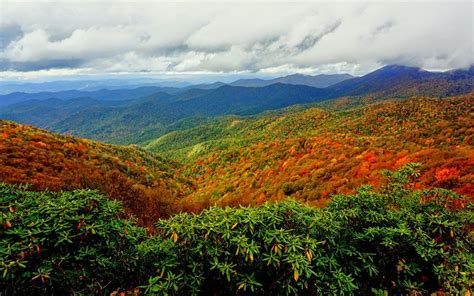 Nc Mountains Fall Foliage Report Week 3