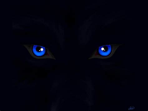 Wolf Eyes Wallpapers Wallpaper Cave