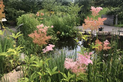 Do any discovery gardens hotels in dubai have a pool? Discovery Garden - Brooklyn Botanic Garden