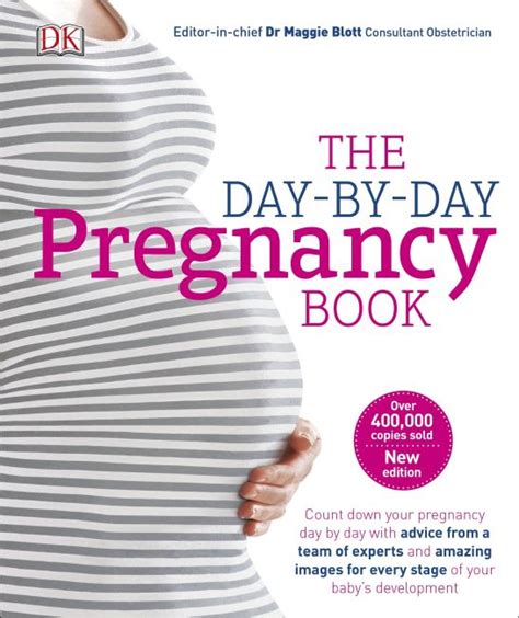 The Day By Day Pregnancy Book Dk Uk