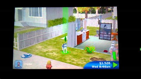 The Sims 3 Pets 3ds Gameplay 2 Youtube