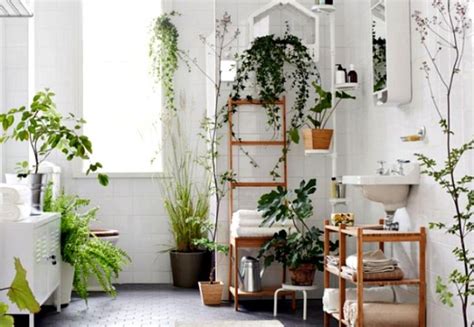 12 Creative Ways To Use Plants In The Bathroom