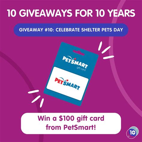 Pets Plus Us Were Celebrating Our 10th Anniversary And